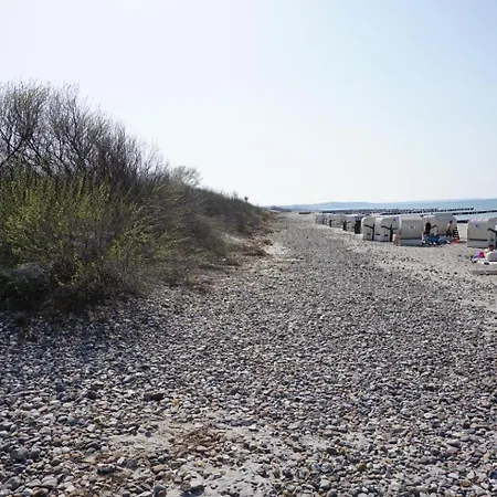 Birkenhof 4 Lejlighed